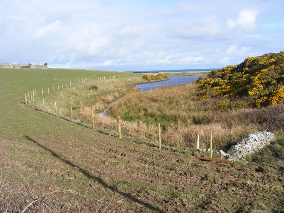 New fencing around Cemlyn lagoon, creating new wildlife areas, and preventing livestock from entering the water