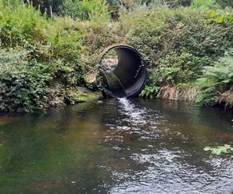 A pipe with a hole in the water

AI-generated content may be incorrect.