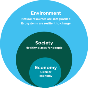 environment, society and economy