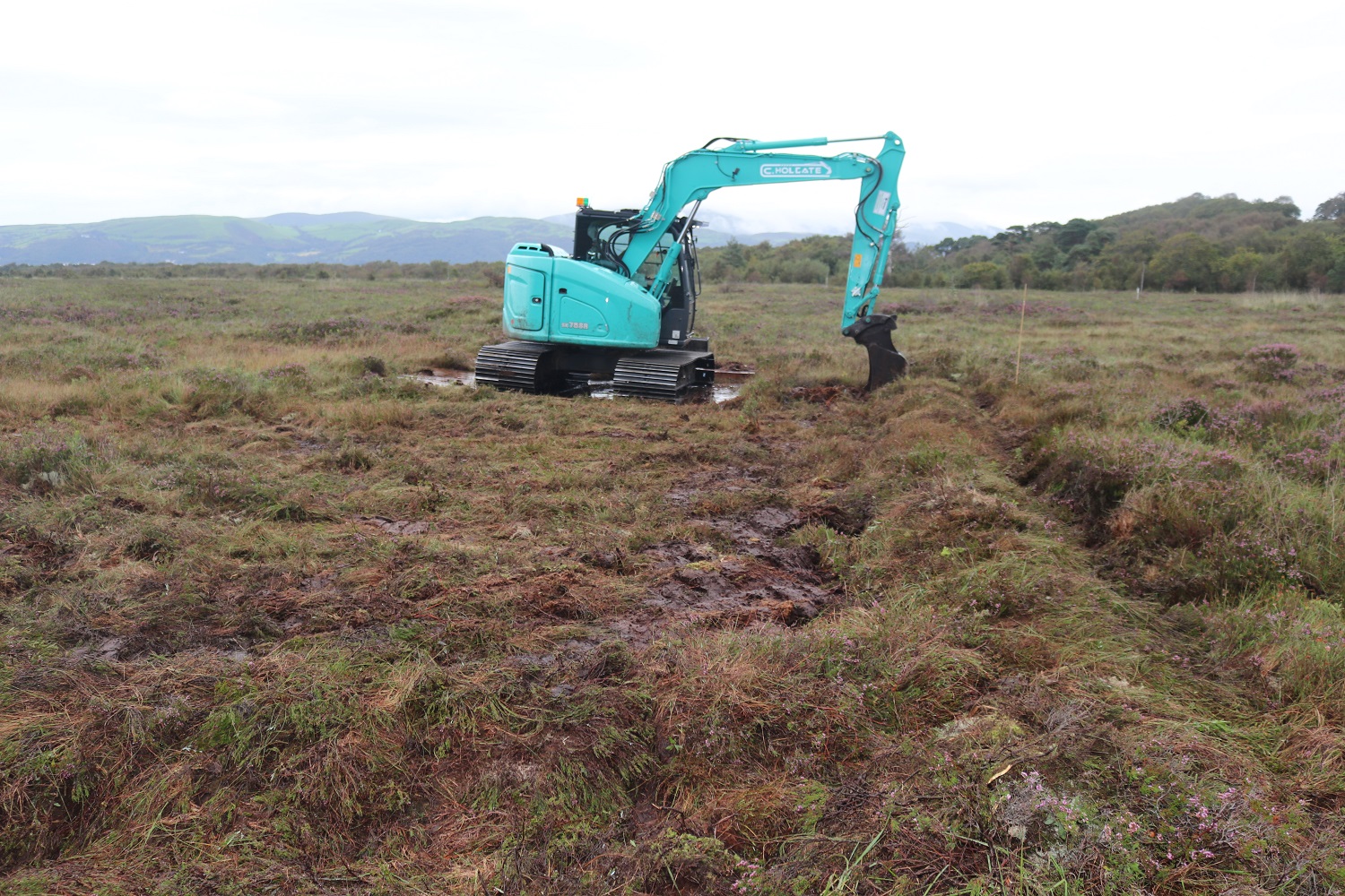 Bunding work starts at Cors Fochno raised bog near Borth in Ceredigion