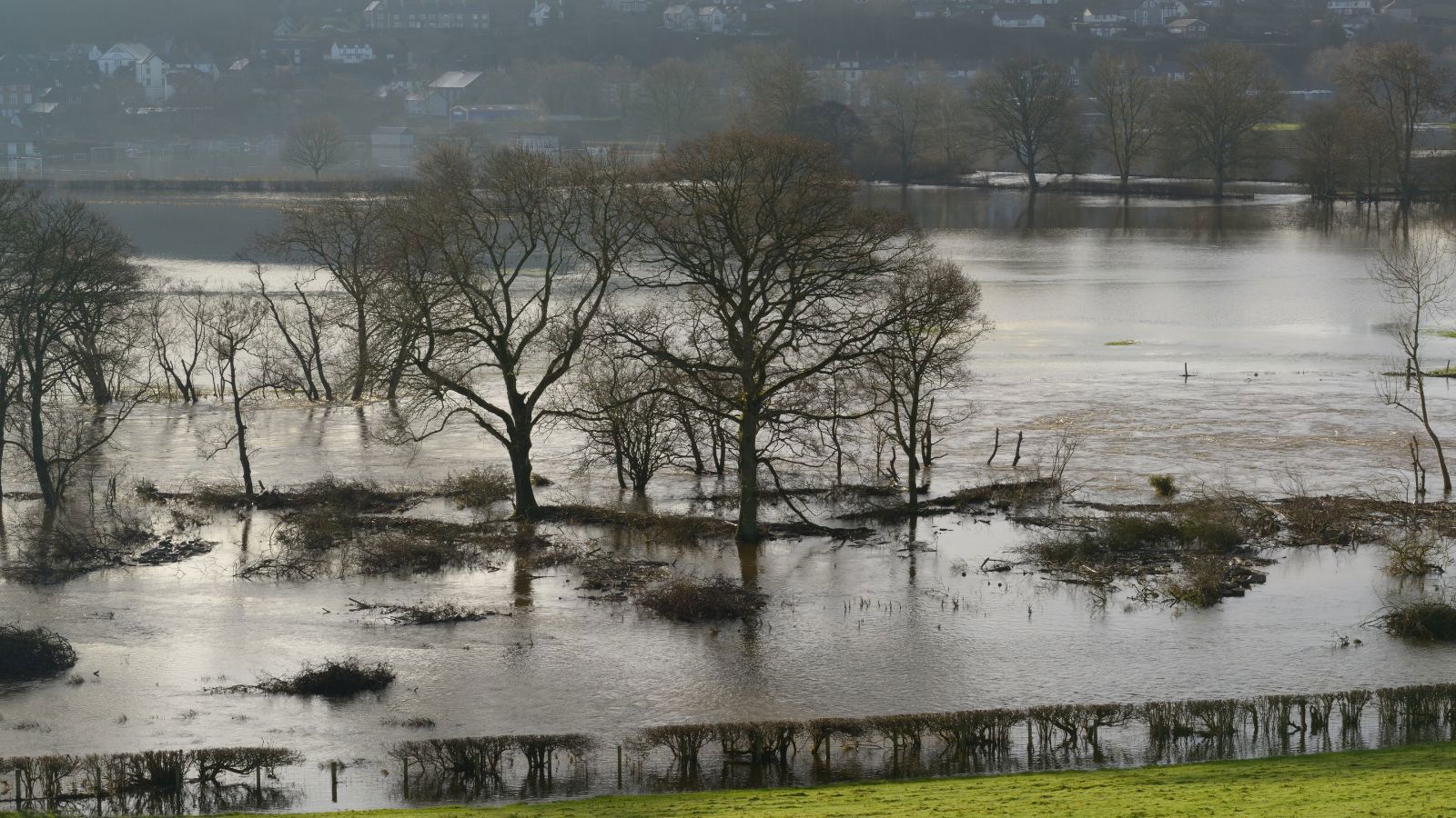 Llifogydd ar gae wrth i afon orlifo