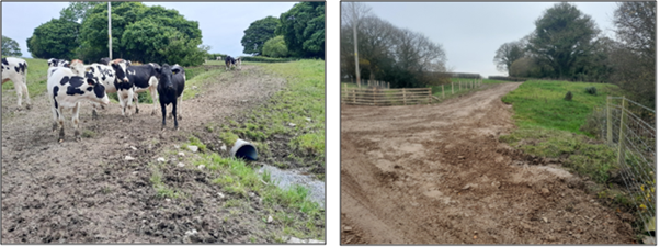 Before and after works were completed to prevent cattle from entering the stream
