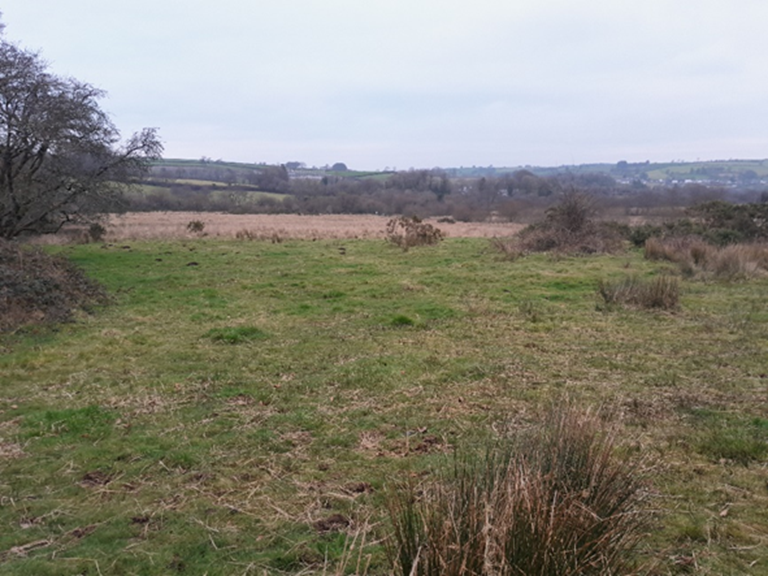 A wide, open countryside scene with rough grassland in the foreground, patches of scrub and bushes in the middle distance, and rolling hills and fields stretching into the background under an overcast sky