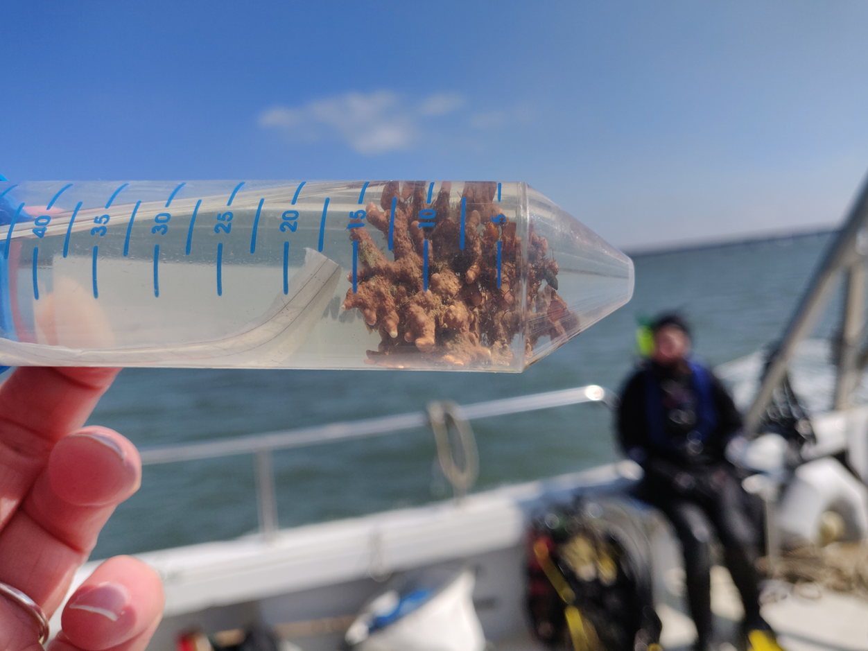 A newly collected sample of mearl in a clear tube being held on a boat out at sea