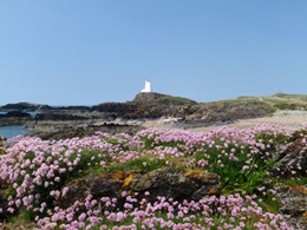Newborough