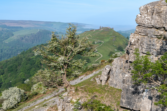 Final assessment for land Glyndŵr National Park 