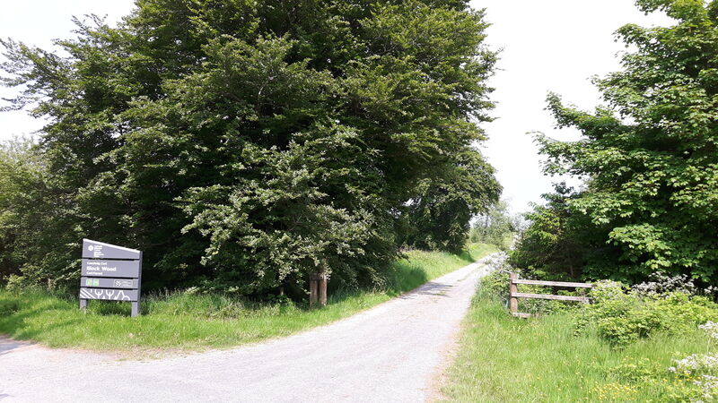 Ceri Forest