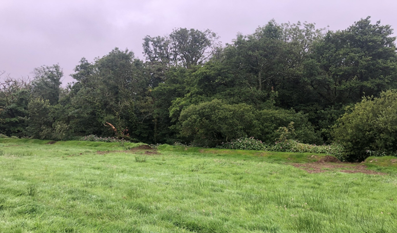 Photo showing the remediation works where the earth bund has been breached at 3m lengths with 20m intervals