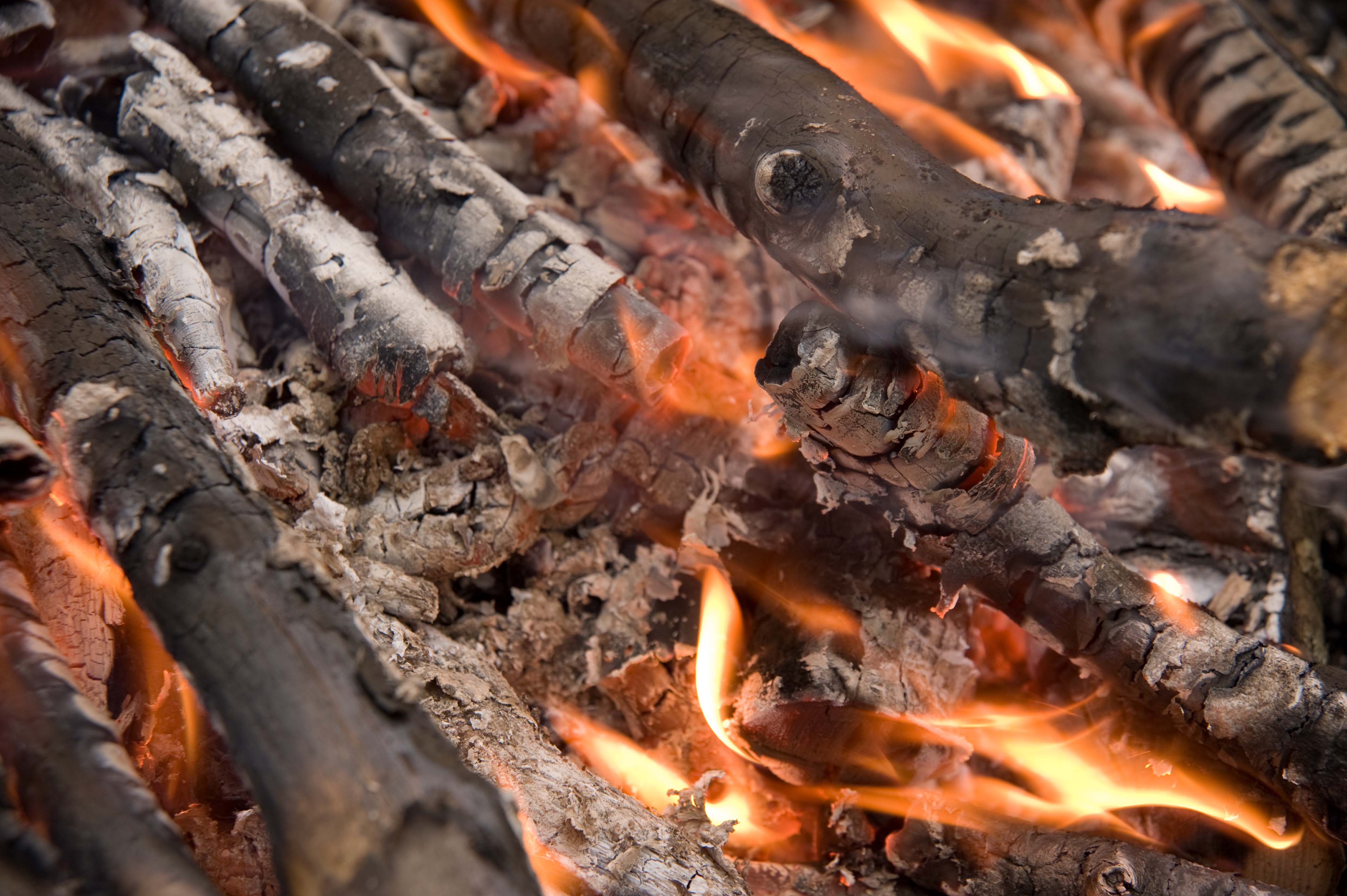 Burning wood for Bonfire night