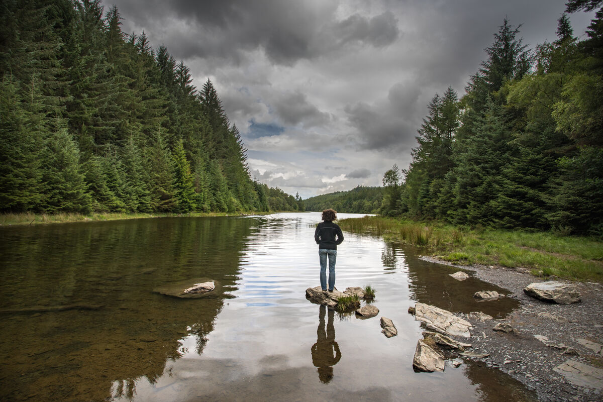  Llyn Parc Walk Natural Resources Wales 