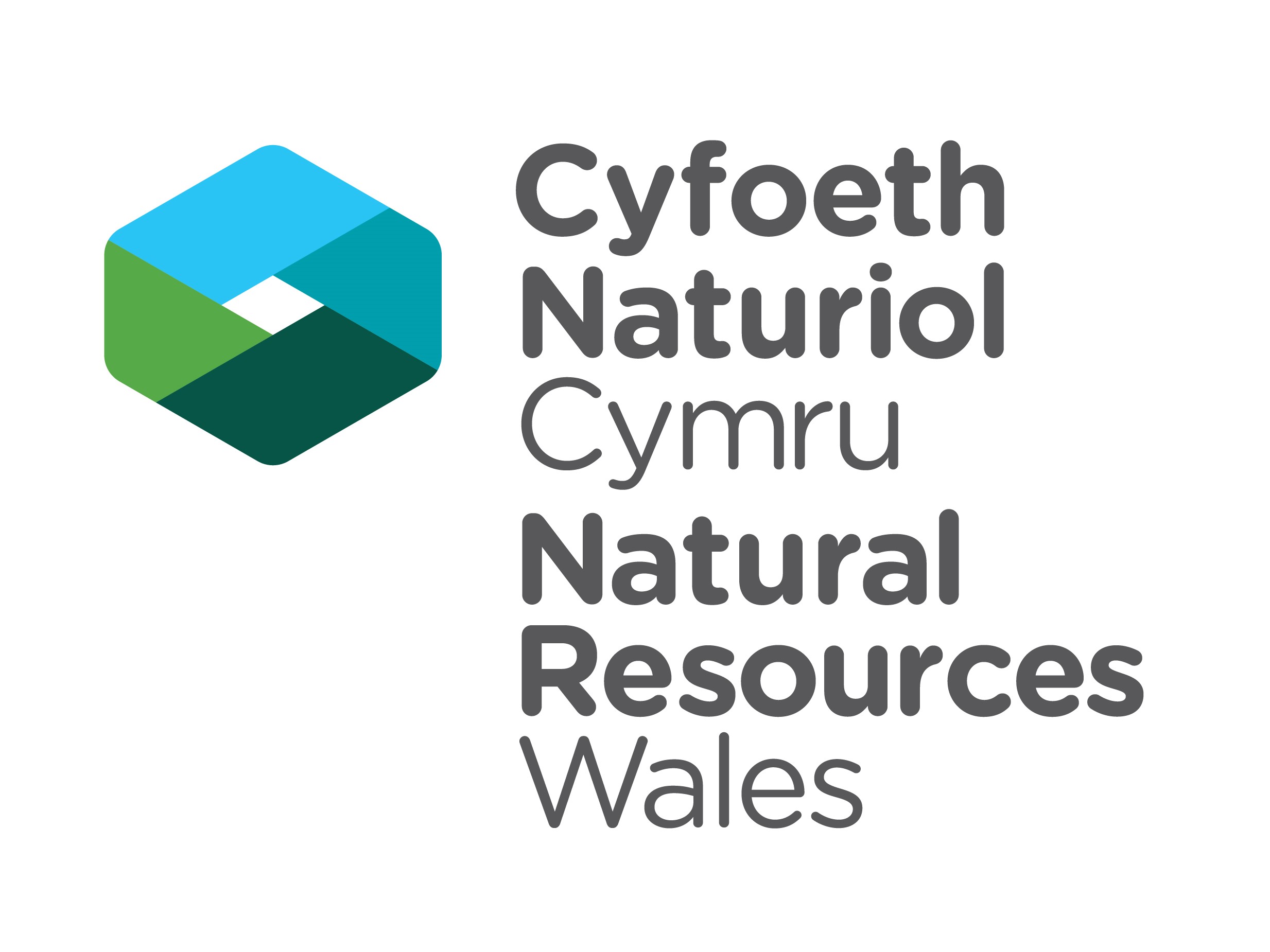 Cyfoeth Naturiol Cymru logo